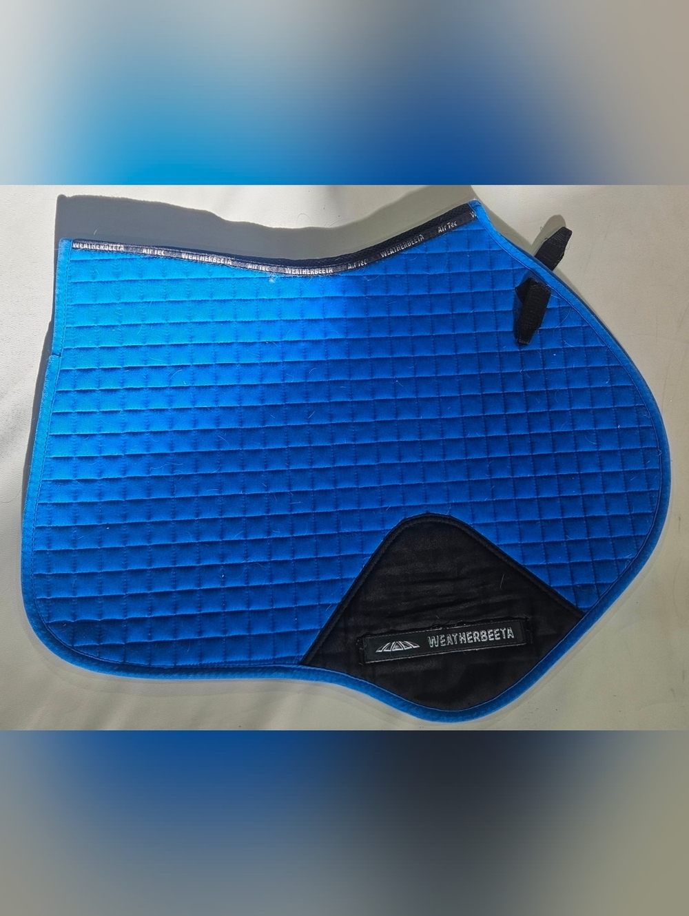 English Jumping Saddle Pads